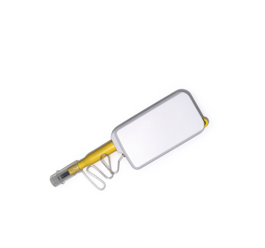 Product preview 2